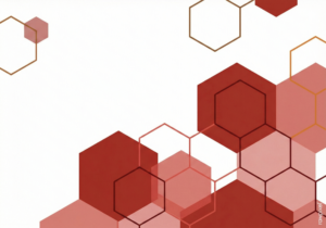 อบรมเชิงปฏิบัติการระบบสารสนเทศเพื่อการติดตามและประเมินผล เขต 8